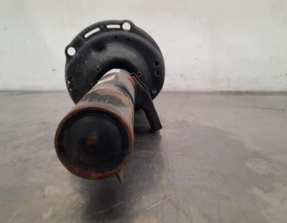 Shock Absorber SKODA OCTAVIA III Combi (5E5, 5E6)