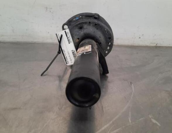 Shock Absorber SKODA SUPERB III Estate (3V5)