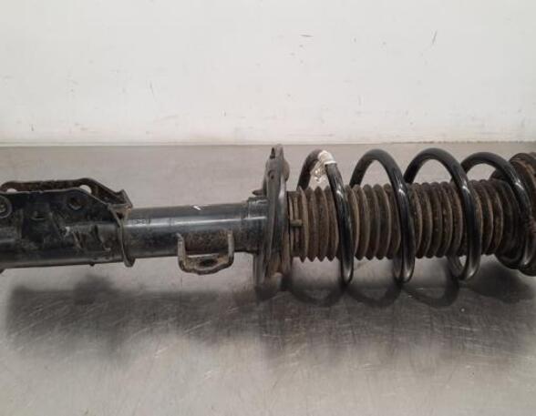 Shock Absorber FORD PUMA (J2K, CF7)