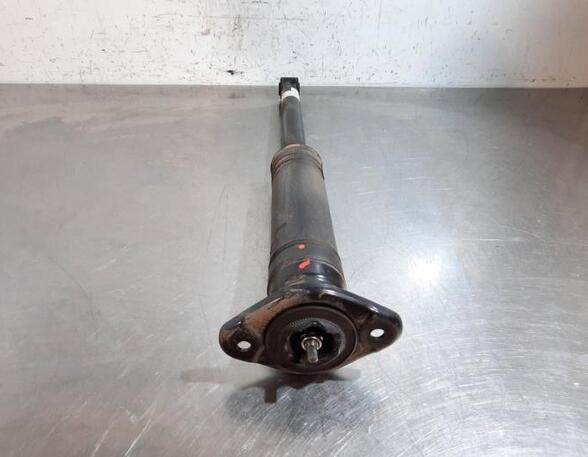 Shock Absorber NISSAN MICRA V (K14)