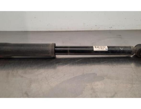 Shock Absorber HYUNDAI i10 III (AC3, AI3)