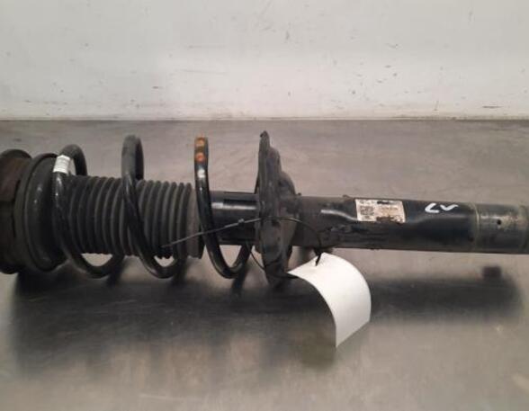 Shock Absorber AUDI Q3 (F3B)