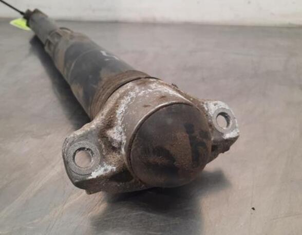 Shock Absorber SKODA KODIAQ (NS7, NV7, NS6)