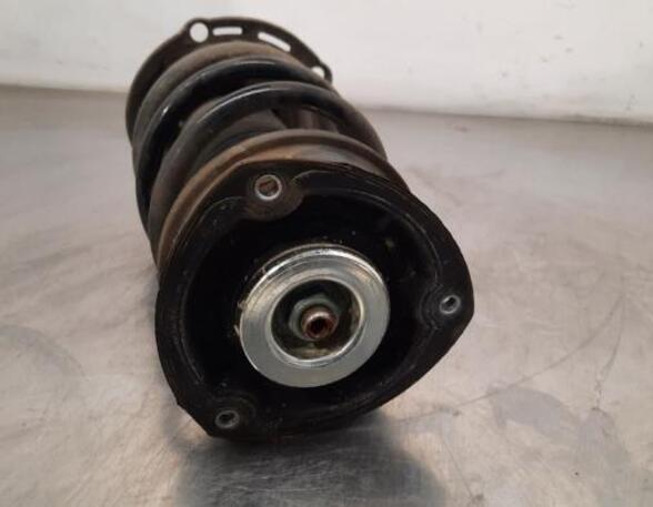 Shock Absorber VW GOLF SPORTSVAN (AM1, AN1)