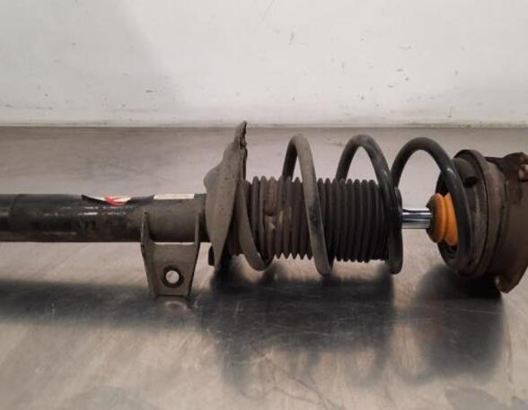 Shock Absorber VW GOLF SPORTSVAN (AM1, AN1)