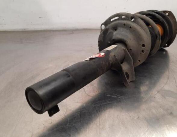 Shock Absorber VW GOLF SPORTSVAN (AM1, AN1)