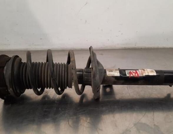 Shock Absorber VW GOLF SPORTSVAN (AM1, AN1)