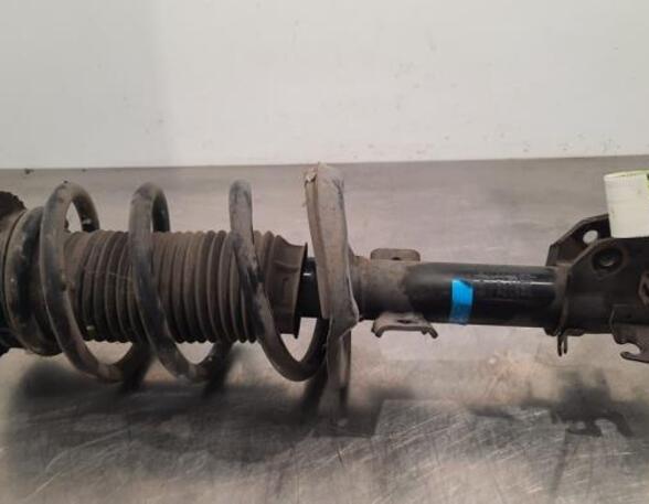 Shock Absorber RENAULT MASTER III Van (FV)