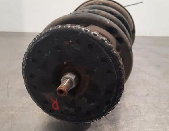 Shock Absorber RENAULT MASTER III Van (FV)