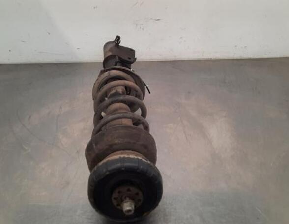 Shock Absorber RENAULT TRAFIC III Van (FG_)