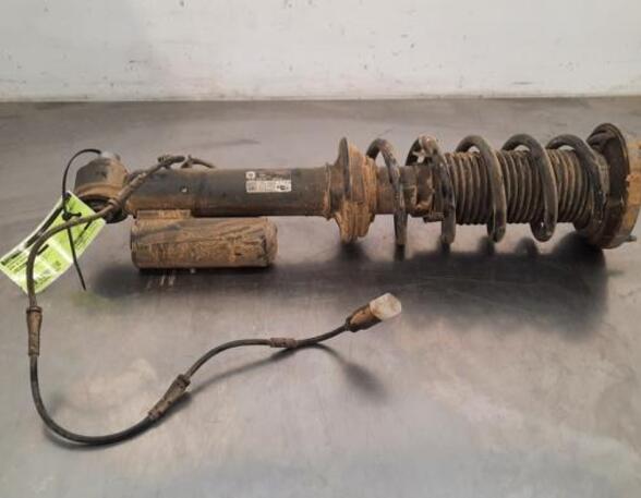 Shock Absorber BMW 8 Coupe (G15, F92)