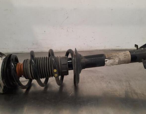 Shock Absorber FIAT DUCATO Van (250_, 290_), PEUGEOT BOXER Van, OPEL MOVANO C Van (U9), CITROËN JUMPER Van