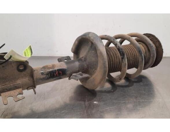 Shock Absorber RENAULT MASTER III Van (FV)