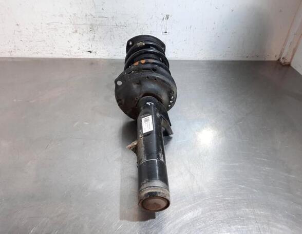 Shock Absorber VW T-ROC (A11, D11), AUDI Q2 (GAB, GAG)