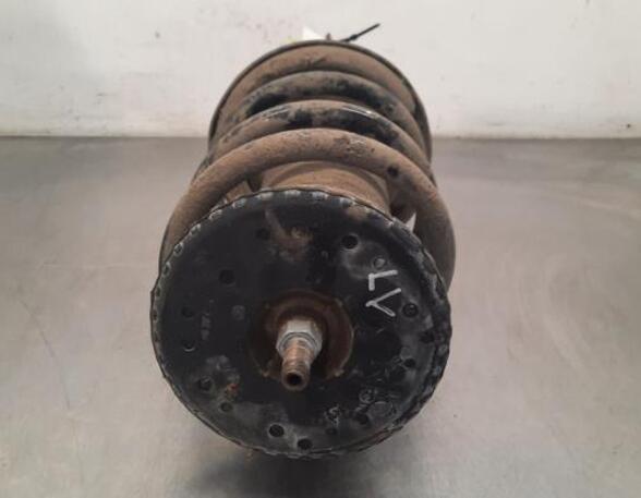 Shock Absorber RENAULT MASTER III Van (FV)