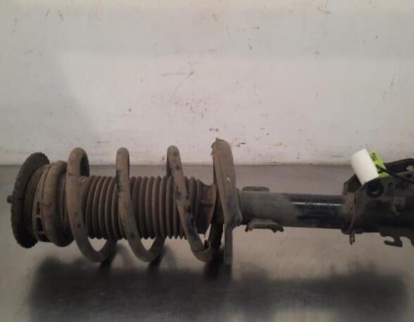 Shock Absorber RENAULT MASTER III Van (FV)