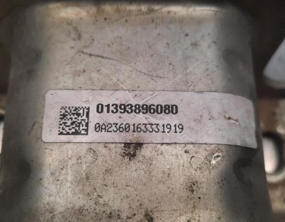 Ophanging versnelling PEUGEOT BOXER Van, OPEL MOVANO C Van (U9)