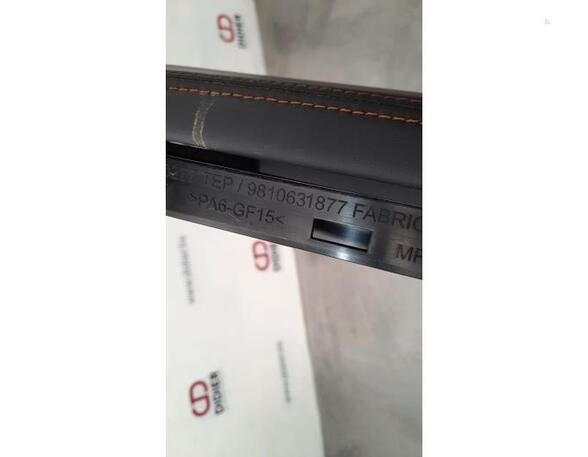 Armrest PEUGEOT 5008 II (MC_, MJ_, MR_, M4_), PEUGEOT 3008 SUV (MC_, MR_, MJ_, M4_)