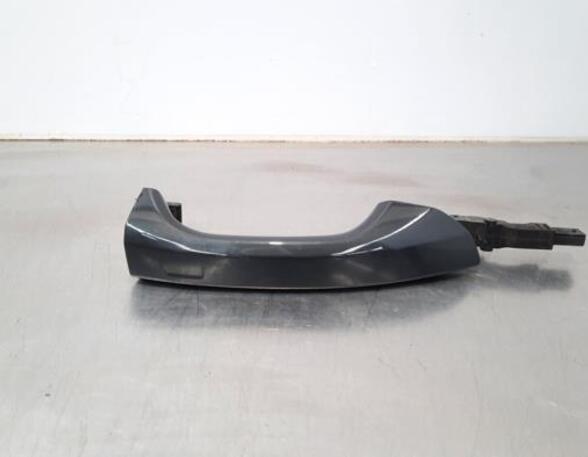 Grab Handle AUDI E-TRON (GEN)