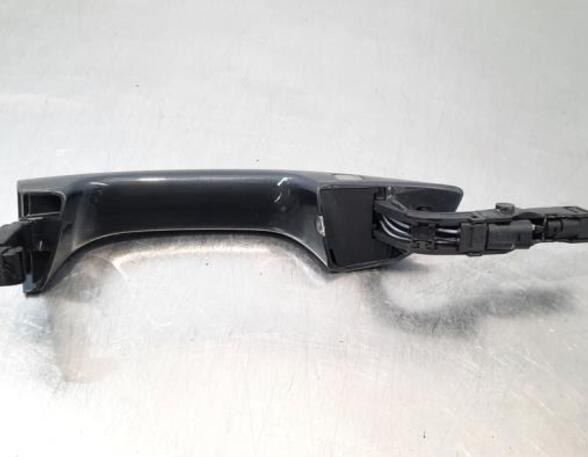 Grab Handle AUDI E-TRON (GEN)