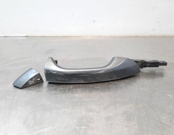 Grab Handle AUDI E-TRON Sportback (GEA)