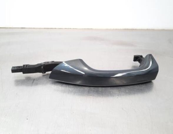 Grab Handle AUDI E-TRON (GEN)