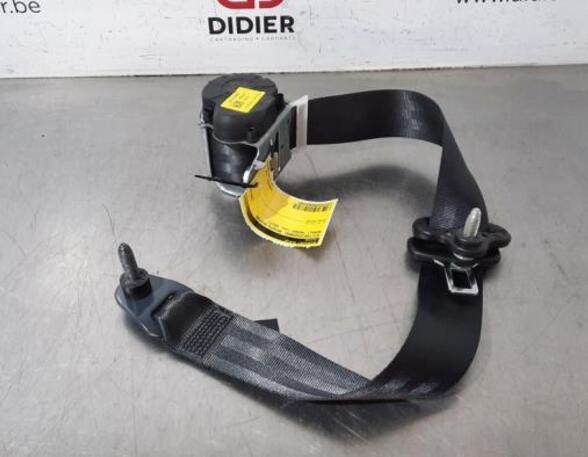 Safety Belts RENAULT TWINGO III (BCM_, BCA_)