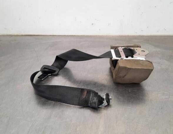 Safety Belts AUDI Q3 (8UB, 8UG), AUDI Q3 (F3B)