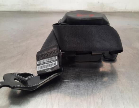 Safety Belts BMW X5 (E70), BMW X6 (E71, E72)