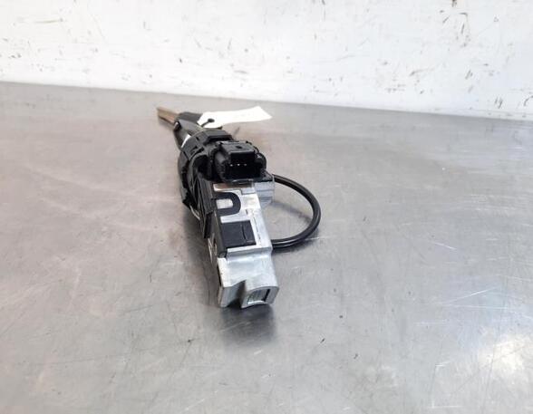 Ignition Lock Cylinder CITROËN C4 III (BA_, BB_, BC_)