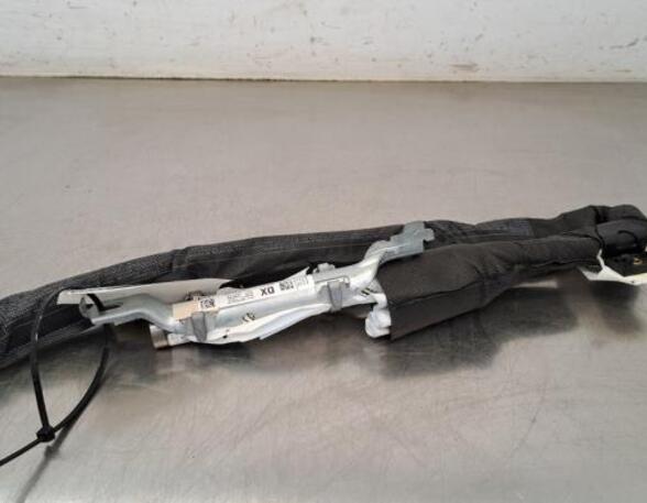 Roof Airbag FIAT 500 (312_), FIAT 500 C (312_)