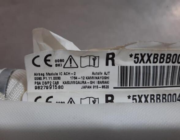 Dak Airbag PEUGEOT 208 II (UB_, UP_, UW_, UJ_), OPEL CORSA F (P2JO)