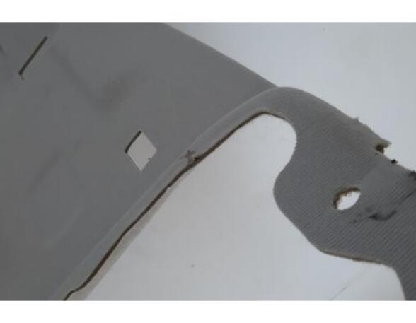 Front Interior Roof Trim Panel PEUGEOT 208 II (UB_, UP_, UW_, UJ_)