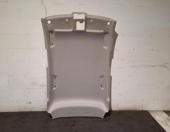 Front Interior Roof Trim Panel RENAULT CLIO V (B7_)