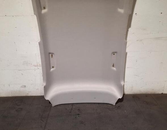 Front Interior Roof Trim Panel RENAULT CLIO V (B7_)