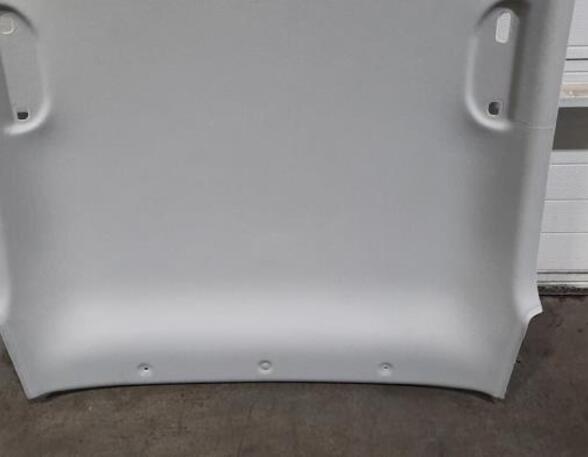 Front Interior Roof Trim Panel HYUNDAI i20 (PB, PBT)