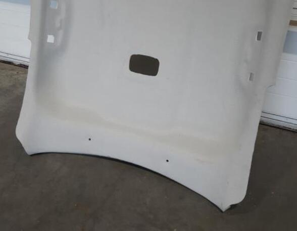 Front Interior Roof Trim Panel CITROËN C4 III (BA_, BB_, BC_)