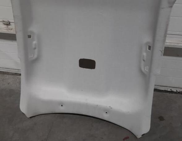 Front Interior Roof Trim Panel CITROËN C4 III (BA_, BB_, BC_)