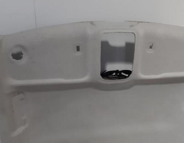 Front Interior Roof Trim Panel CITROËN C3 AIRCROSS II (2R_, 2C_)