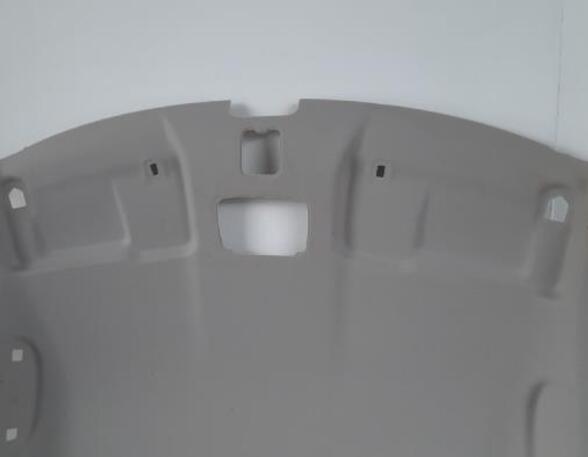 Front Interior Roof Trim Panel SUZUKI SWIFT V (AZ)