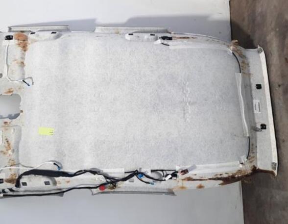 Front Interior Roof Trim Panel DS DS 7 Crossback (J4_, JR_, JC_), CITROËN DS