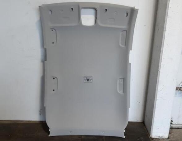 Front Interior Roof Trim Panel HYUNDAI i20 III (BC3, BI3)