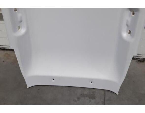 Front Interior Roof Trim Panel PEUGEOT 2008 II (UD_, US_, UY_, UK_)