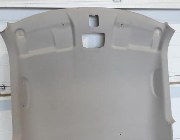 Front Interior Roof Trim Panel SUZUKI SWIFT V (AZ)