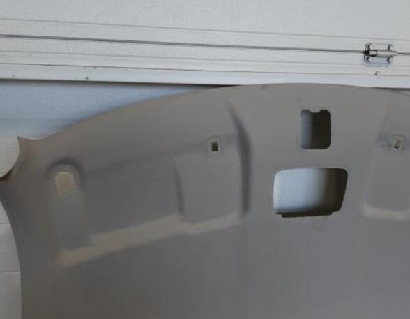 Front Interior Roof Trim Panel SUZUKI SWIFT V (AZ)