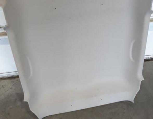 Front Interior Roof Trim Panel SUZUKI SWIFT V (AZ)