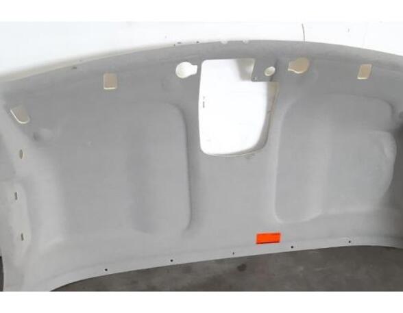 Front Interior Roof Trim Panel RENAULT MASTER III Platform/Chassis (EV, HV, UV)