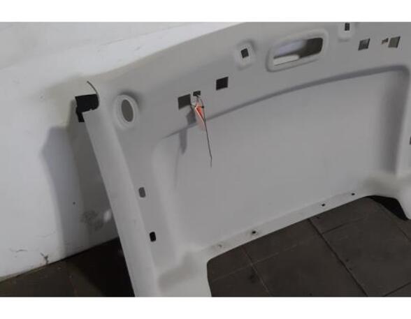 Front Interior Roof Trim Panel FORD TRANSIT CONNECT V408 Box Body/MPV