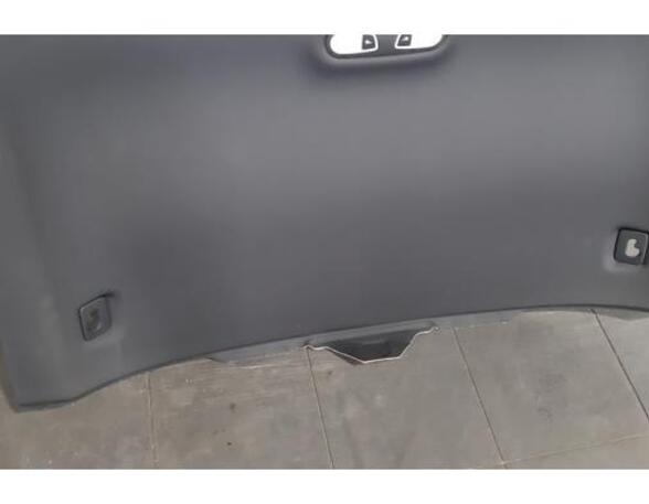 Front Interior Roof Trim Panel AUDI A6 Avant (4G5, 4GD, C7), AUDI A7 Sportback (4GA, 4GF), AUDI A6 Allroad (4GH, 4GJ, C7)