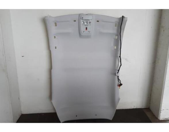 Front Interior Roof Trim Panel OPEL CORSA F (P2JO)